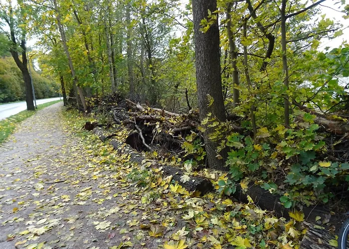 Lägenhet Fuer 3 Personen In *